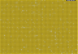 Cartel 2007. Diseño: Germán Chamorro